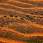 Kan jeg blande forskellige typer sandkassesand?